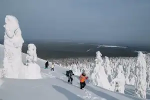К священной горе манси: из Перми на Помяненный камень - 23