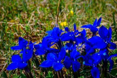 Путешествие по Восточной Осетии — древней Тагаурии - 7