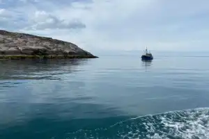 Териберка: навстречу китам и ветру - 4