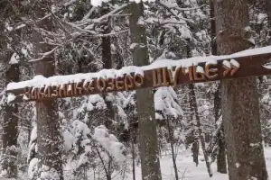 Из Петербурга в Комарово: обитель муз и гениев (в уютной мини группе) - 14