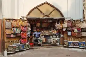 Старый и Новый Дели за один день - 3