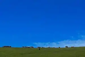 Горная Ингушетия - 2