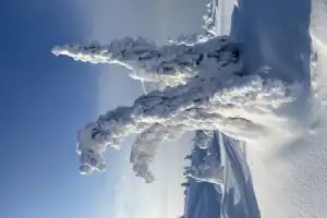 Арктическая экзотика: на снегоступах — по беломорской тундре - 4