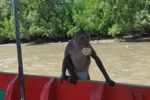 Аутентичный Таиланд: город на воде, мангровый лес и рынок на рельсах - 12