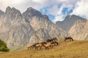 Северная Осетия. Топ-10 и осетинские пироги! - 7