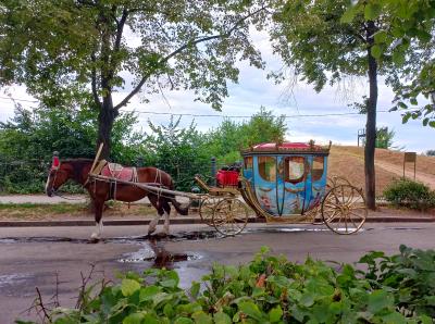По Суздалю на санях да на карете! - 9