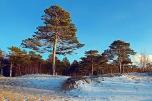 Северодвинск и Белое море - 5