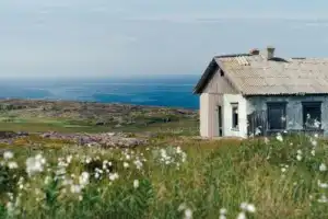 Исследовать Кольский: Мурманск и Териберка, Кандалакша и Хибины - 4