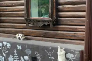 Летописный Козельск, Шамордино, Оптина и Фёклина пустыни - 9