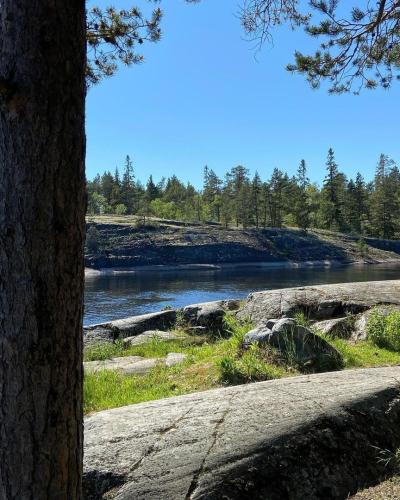 На катере по Ладожским шхерам: индивидуальная прогулка - 5