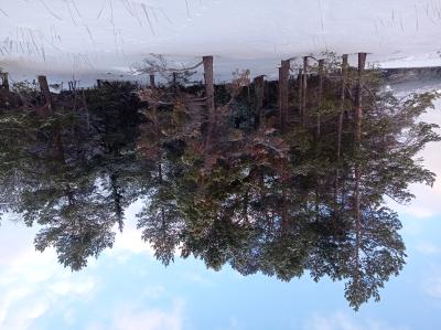 Фотоэкспедиция «Сказка Южного Заполярья» - 8