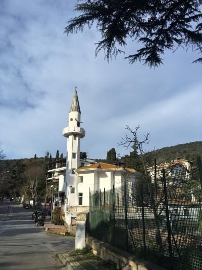 Из Стамбула — на Принцевы острова! - 4