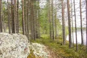Аметисты Белого моря и исконный Русский Север - 11