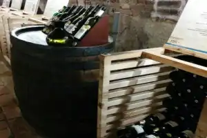 Замки и винодельни Южной Моравии — из Праги - 9