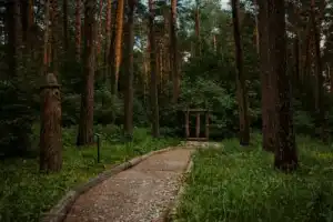 Из Кемерово — в «Томскую Писаницу» + экспресс-обзорная по городу - 3