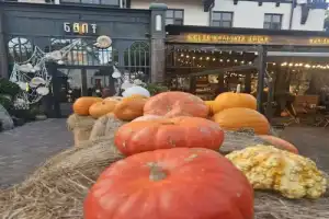 Зеленоградск, Светлогорск, Филинская бухта и Янтарный за 1 день (из Калининграда)