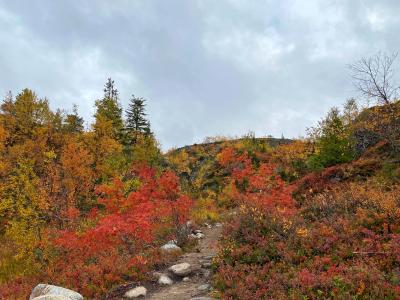 Белое море, Колвицкие водопады и древнее место силы (из Кировска) - 5