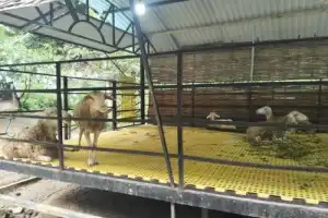 В парк Донг Зянг к племени Ко Ту: врата в аутентичный Вьетнам (всё включено) - 9