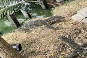 Бангкок — город контрастов - 9