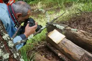 Вкусное путешествие к загадочному озеру Светлояр (на вашем автомобиле) - 4