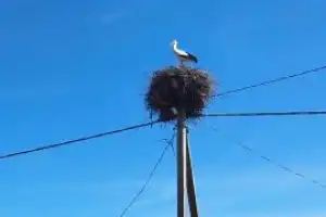 Путешествие по живописным окрестностям Гродно - 11