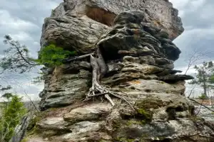 Каменный город — природный лабиринт: поездка из Перми - 3