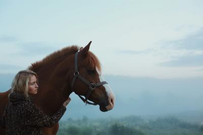 Прогулка на конях по неизведанной и заброшенной Карелии