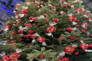 Цюрих — путешествие во времени - 2