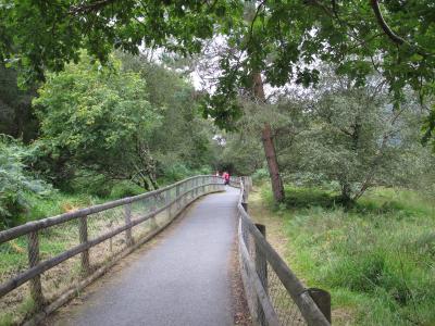 Сады Пауэрскорт и монастырский город Глендалок - 12