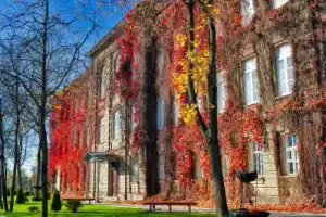 Гродненская кругосветка: большая автопешеходная экскурсия - 2