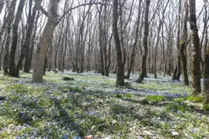Восхождение на гору Бештау в группе - 3