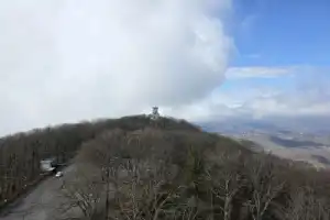 Достопримечательности Сочи: полное погружение - 11