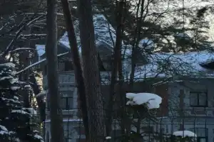 Как в России появились дачи: экскурсия по центру загородной жизни империи — Сестрорецку - 10