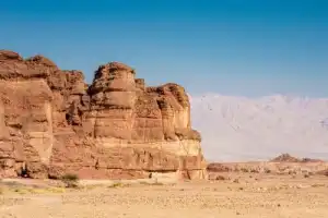 Эйлатское сафари - 6