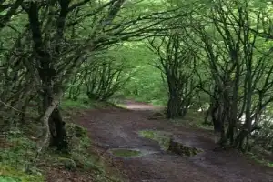 Древние церкви, город в скалах и грузинская кухня - 6