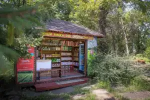 Чайные домики и Озёра Любви в Сочи - 15
