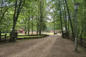 Трансфер из Бреста на экскурсии в Беловежскую пущу - 18