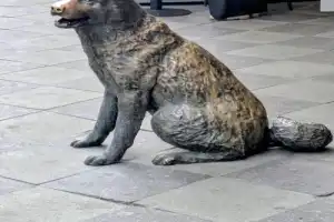 Свидание со Старой Москвой - 10