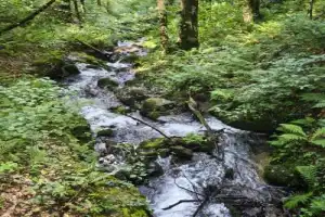 Чудеса горного Сочи: источник Мацесты, водопады и чайные плантации - 3
