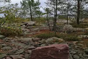 Вепсская земля: каменные карьеры, храм и этномузей - 9
