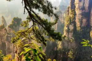 Киберпанк и природа Китая: Чунцин, Чжанцзяцзе, Шанхай + шопинг (мини-группа) Киберпанк и природа Китая: Чунцин, Чжанцзяцзе, Шанхай + шопинг (мини-группа)