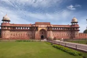 Тигры в дикой природе: заповедная и популярная Индия - 9