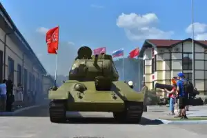 Танки, кони, звери: обзорная экскурсия по конному клубу и чаепитие - 22