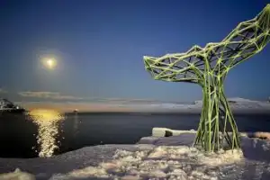 Индивидуальный джип-выезд по Кольскому с поисками китов, знакомством с саамами и катанием на оленях