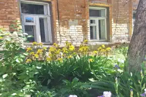 По дворам и смыслам Самары - 6