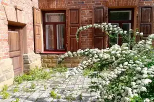 Старый Иркутск и его яркое губернское прошлое - 5