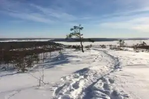 Прогулка по зимней Карелии тропами лешего Хийси - 6