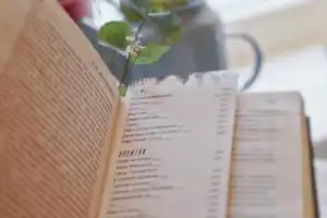 Петрозаводск для гурманов: попробуйте город на вкус! - 14