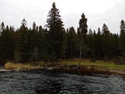 Карелия заповедная: прогулка по экотропе - 20