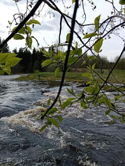 Карелия заповедная: прогулка по экотропе - 9